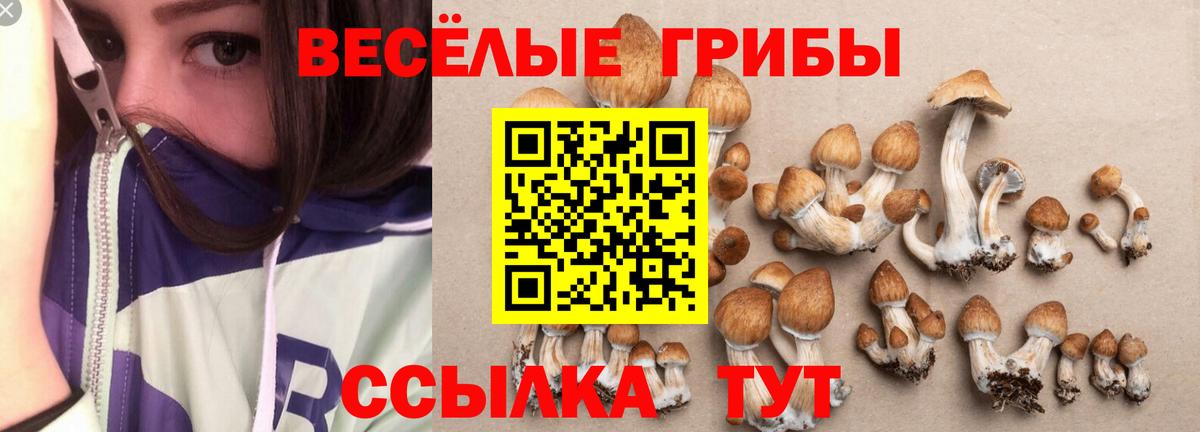 Псилоцибиновые грибы Cubensis  Вход с VPN  Ликино-Дулёво 
